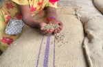 Robusta Melong Supreme – Rohkaffee | Specialty Grade (5 kg, 10 kg, 60 kg)