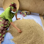 Bamenda Peak Delicious – Specialty Arabica RohKaffee AA – Bild 3